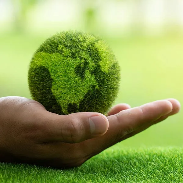 Sustainability at APEC
